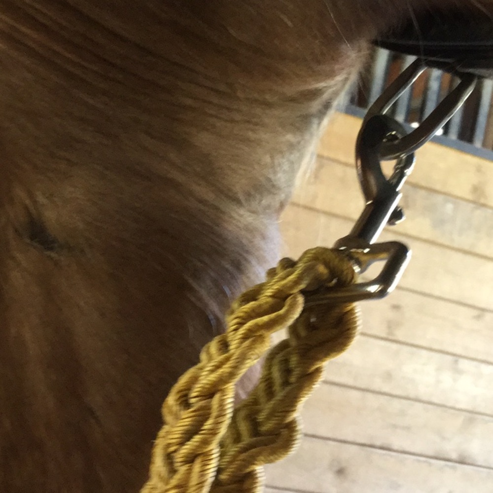 Artisan repurposed horse tack prototype art western project equestrian cowgirl - Picture 7 of 14